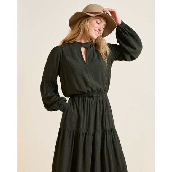 Garnet Hill Women’s Nori Pine Green Ballad Swiss-Dot Maxi Dress - Picture 12 of 13